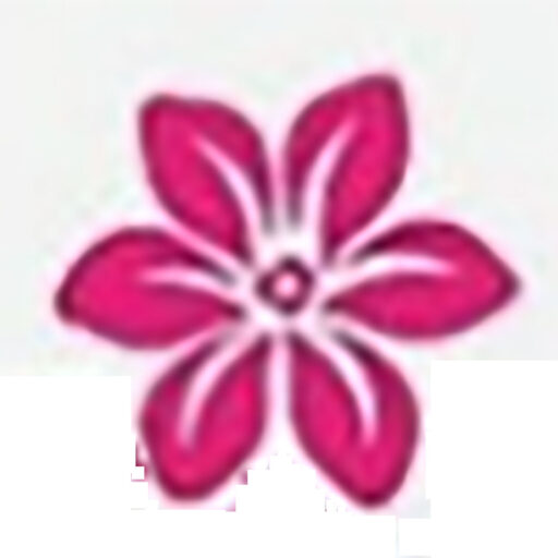 안성 아양 금성백조 예미지 모델하우스